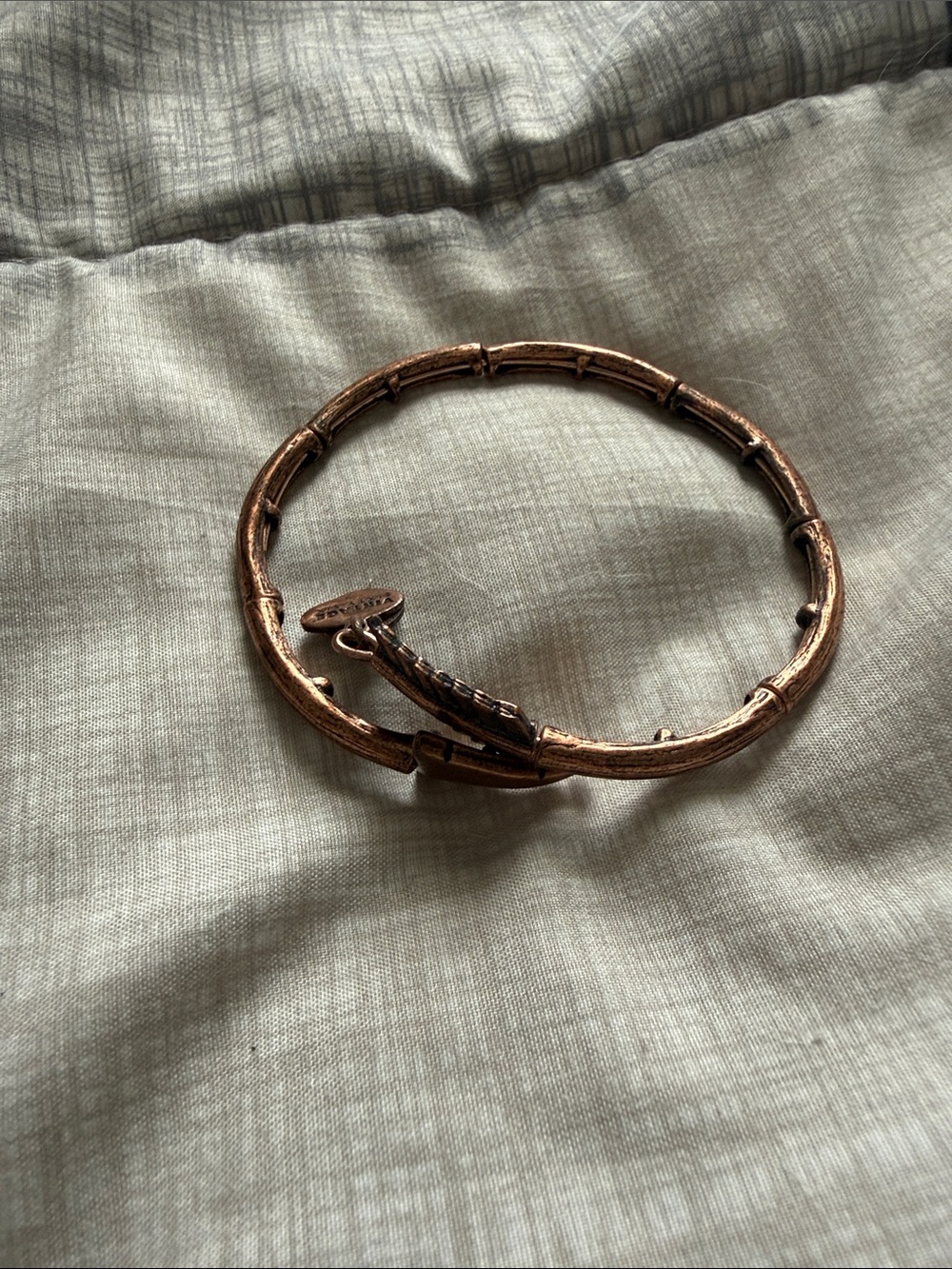 Alex and Ani Copper Bamboo-Style Expandable Bangle